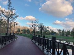 -黄海国家森林公园