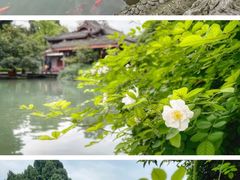 -都江堰景区