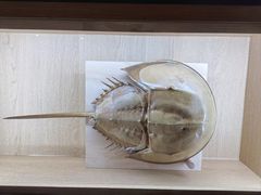 -中国湿地博物馆
