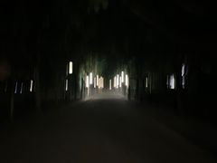 -南京理工大学紫金学院