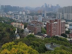 -福道