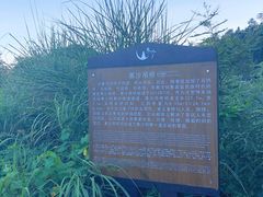 -寨沙侗寨(侗族歌堂)