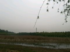 -东郊湿地公园