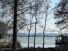 -东湖落雁景区