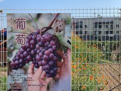 -大连北马山庄