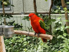 -南宫五洲植物乐园