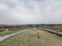 -空港花田景区