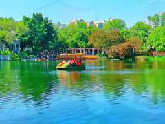 -荔湾湖公园
