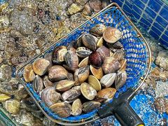 -皓景海鲜·地标美食(双月湾店)