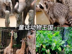 -长鹿旅游休博园