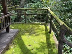 -三块石国家森林公园