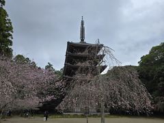-醍醐寺