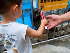 -泉城欧乐堡海洋极地世界
