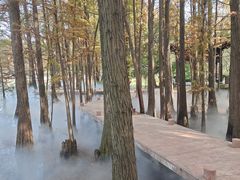 -东湖落雁景区