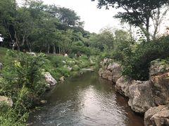 -羊山湖公园
