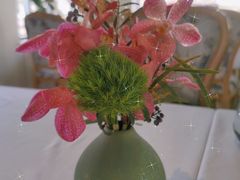 -蝶舍·MAISON PAPILLON