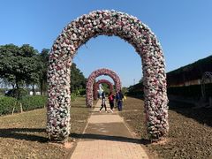 -长廊欢乐园