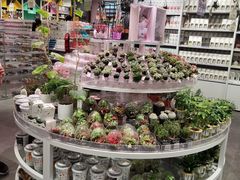-KKV(深圳kk one 店)