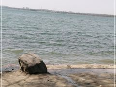 -丁香湖公园