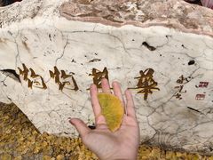 -辽宁大学(崇山校区)