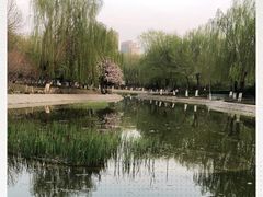 -丰台科技园生态主题公园