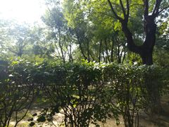 -靖宇公园