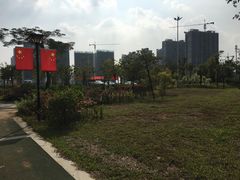-金山植物公园