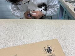 -莘程宠物医院(金山店)