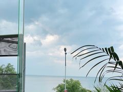 -野菌皇海景野生菌火锅(滨海大道店)