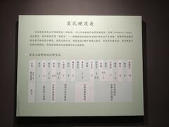 -南越王博物院(王宫展区)