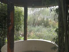 -灵山莲花公园-温泉度假区