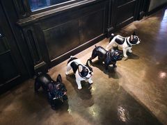 -LYFATTI 莱芙缇(赣水路店)