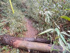 -会稽山峡洞漂流-上青古道