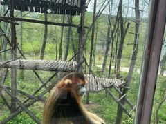 -哈尔滨北方森林动物园