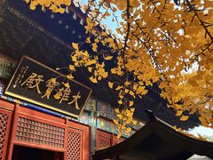 -红螺寺