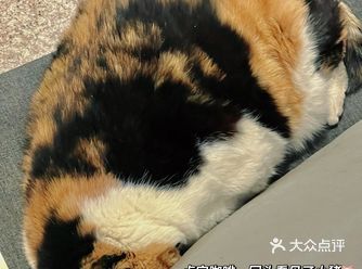 什么时候可以停止这种迟钝的感觉