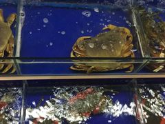 -海鲜城大家餐厅