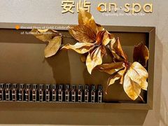 -安屿an·spa(卓悦中心商场店)