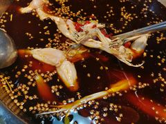 -火辣辣美蛙鱼头自助火锅(仁和路店)