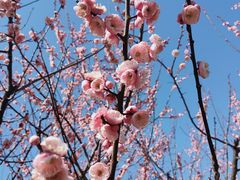 -白塘生态植物园