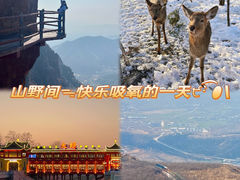 -伏羲山旅游区