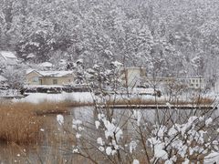 -富士山吉田線五合目
