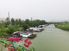 -三垟湿地