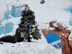 -湘江欢乐城欢乐雪域