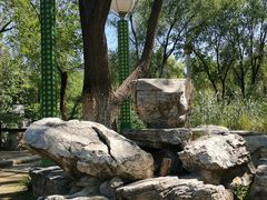 -滨河世纪广场公园