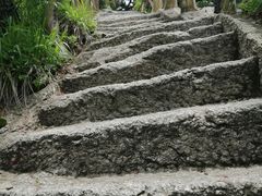 -罗田天堂寨风景区
