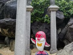 -海南分界洲岛旅游区