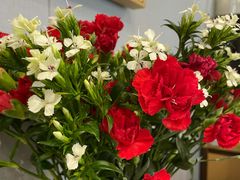 -后海16号·北京私房菜