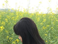 -光明小镇欢乐田园