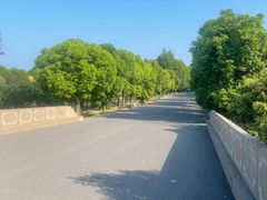 -广富林郊野公园